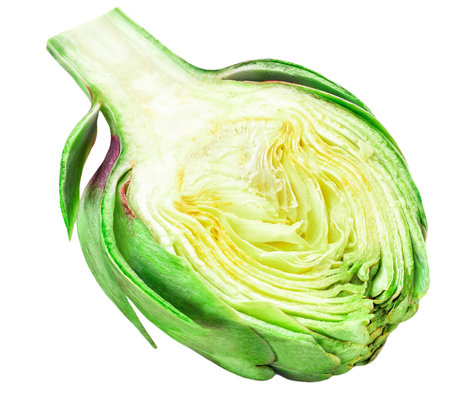 Half cutted Fresh Artichoke isolated on white background. Raw Artichok Closeupの写真素材