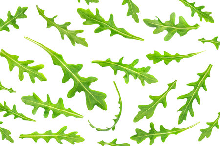 Ruccola leaf isolated on white background, fresh green arugula leaves collection top view. patternの写真素材