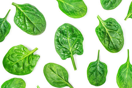 Spinach pattern. Fresh Spinach baby leaves isolated on white background. top view. flat lay.の写真素材