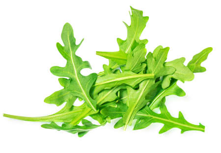 Heap of Green rucola leaves isolated on white background. fresh arugula closeupの写真素材