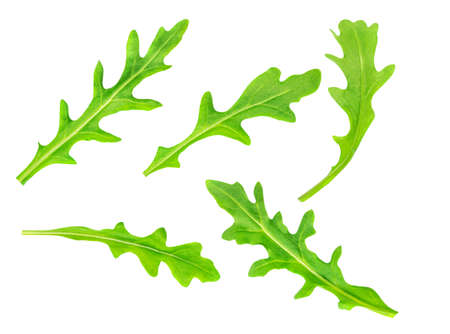 Green rucola leaves isolated on white background. Fresh arugula collection. patternの写真素材