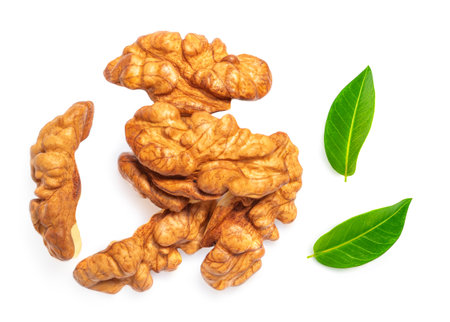 Walnut isolated. Walnut kernel Nuts with green leaves on white background. top view. flat layの写真素材
