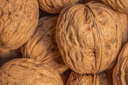 Walnuts top view wallpaper. Fresh Walnut Background close upの写真素材