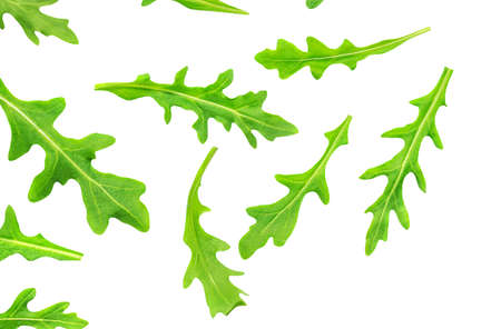 Set of Green rucola leaves isolated on white background. Fresh arugula collection. patternの写真素材