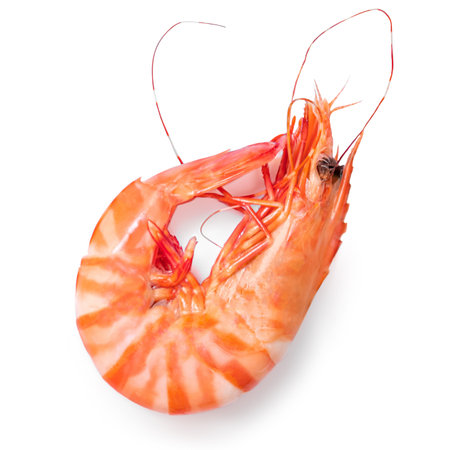 Unpeeled Shrimps isolated on white background. Sea food concept. Red cooked prawn Top viewの写真素材