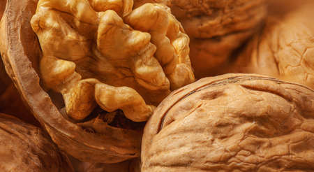 Walnut Wallpaper. Walnut fresh nuts Background top viewの写真素材