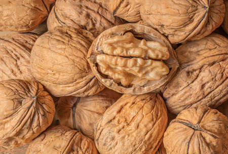 Walnuts kernels as a background, Whole walnut close up, organic food conceptの写真素材