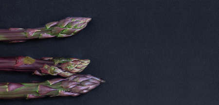 Asparagus. Fresh purple asparagus on black slate background. Top view copy space.の写真素材