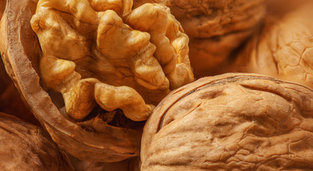 Walnuts as a background top view. Fresh Walnut kernels closeupの写真素材