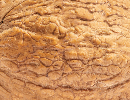 Walnuts as a background top view. Fresh Walnut kernels closeupの写真素材