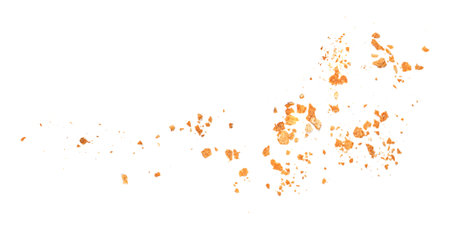 Bread crumbs isolated on white background. Splash of crumbs Top view. flat lay.の写真素材