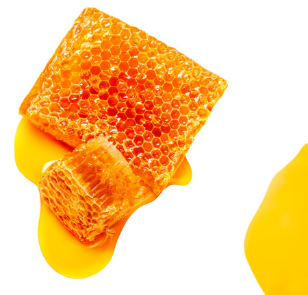 Organic Honey and Honeycomb isolated on white background, top view. flat layの写真素材
