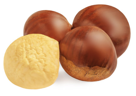 Ripe chestnuts isolated on white background. Raw Chestnuts for Christmas closeupの写真素材