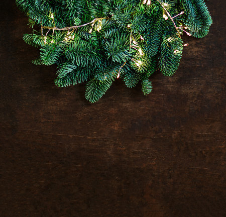 Christmas tree branches with golden lights garland on dark wooden background top view, copyspace. Xmas, Nature New Year concept.の写真素材