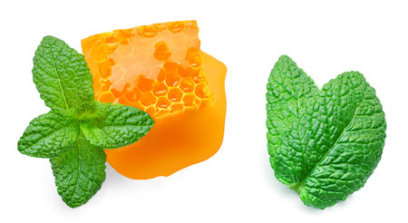 Honeycomb with mint leaf isolated on the white background. Sweet Honey and Melissa leaves closeup. food macro concept.の写真素材