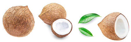 Coconuts with green leaves isolated on white background. collection. Creative layout of fresh whole and half coconut and slices. pattern. flat layの写真素材