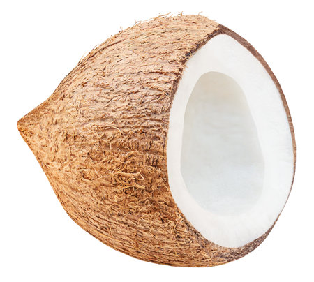 Coconut isolated on white background. Fresh halved coconut close up. Tropical fruit macroの写真素材