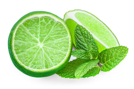 Lime fruit and mint leaves isolated on the white background. Lime slice with fresh peppermint herb for mojito drinkの写真素材
