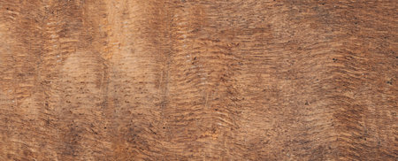 Brown Wood texture with Scratches. Old natural wooden shabby background close upの写真素材