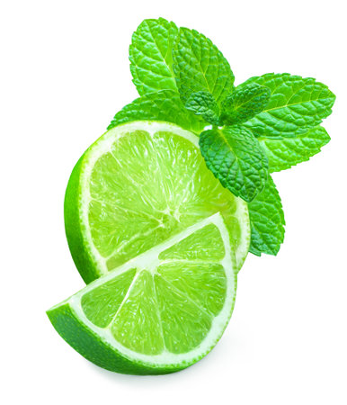 Lime isolated on white background. Lime citrus fruit with mint leaf and slices closeup. food compositionの写真素材