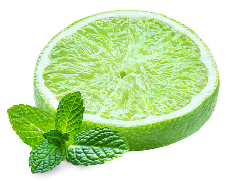 Lime slices isolated on white background. Lime citrus fruit with mint leafの写真素材