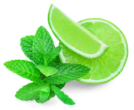 Lime slices isolated on white background. Lime citrus fruit with mint leafの写真素材