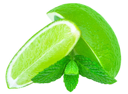 Lime slices isolated on white background. Lime citrus fruit with mint leafの写真素材