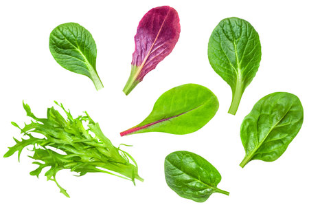 Salad leaves mix with rucola, red lettuce, spinach and chard, leaf isolated on white background. Top view, flat lay. patternの写真素材