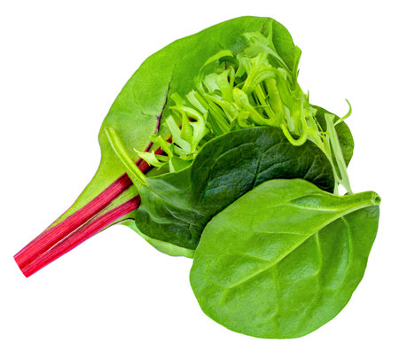 Salad leaves with spinach leaves isolated on white background. top view. flat layの写真素材