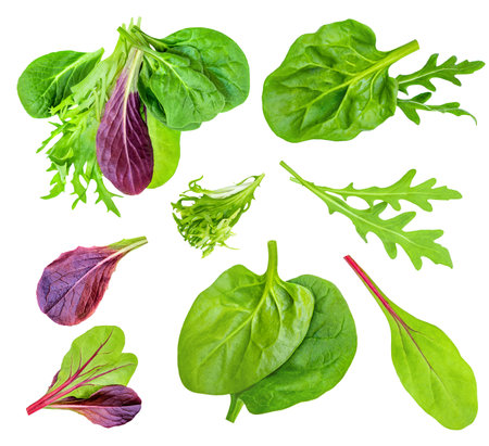 Salad leaves mix with Spinach leaf With ruccola, radicho isolated on white background. Salad Collection top view, flat lay. creative layoutの写真素材