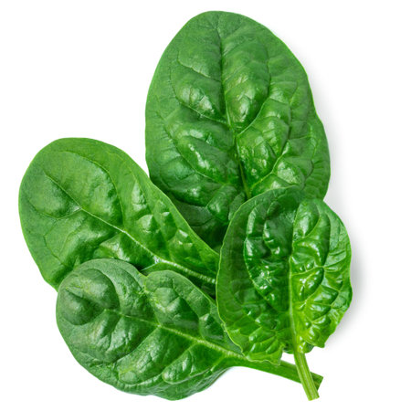 Fresh green leaves of Spinach leafy vegetable isolated on white background. Spinach Macro. Top view. Flat lay.の写真素材