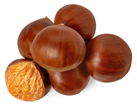 Horse Chestnut isolated on white background. Autumn concept with Chestnut Top view. Flat lay.の写真素材