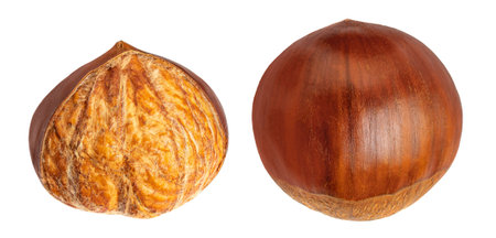 Fresh Horse Chestnut isolated on white background. Autumn creativity layout with Chestnuts Top view. Flat lay.の写真素材