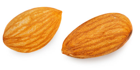 Almond isolated. Two Almonds on white background close up.の写真素材
