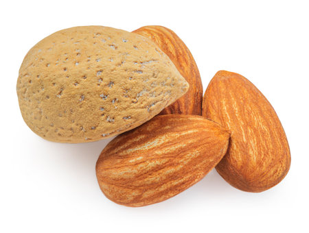Salty Almonds isolated on white backgroundの写真素材