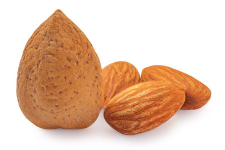Almonds nuts and Almond nuts with shell isolated on white background. Collectionの写真素材