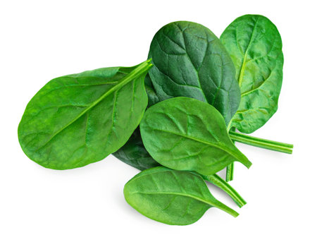Pile of fresh green baby spinach leaves isolated on white background. Various Spinach Macro. Top view. Flat lay.の写真素材