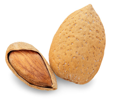 Almonds nut with shell and cracked almonds shell isolated on white background. Almond package design element.の写真素材