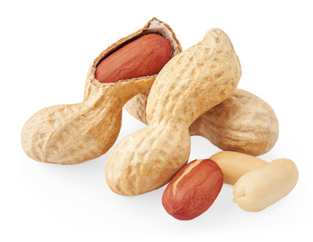 Isolated Peanuts. Whole and peeled peanuts on white background. Package design element. Macro