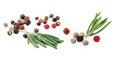 Rosemary isolated. Rosemary on white background with pepper spices. Top view rosemary twig. Cooking ingredientsの写真素材