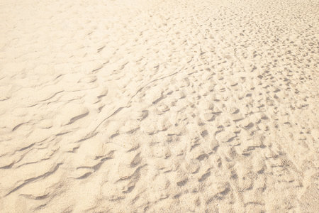 Summer beach sand background with natural wave pattern. Sand texture. Sunny gold sandy beach wallpaperの写真素材