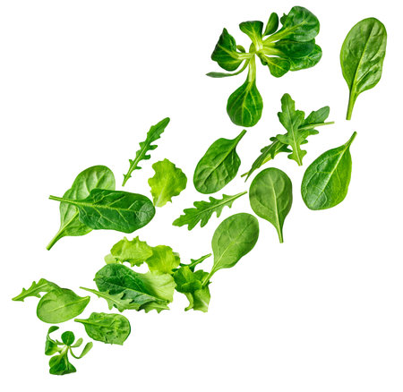 Falling Spring mix leaves isolated on white. Explosion of fresh green salad leaves. Flying arugula, lettuce, spinach close up.Creative layoutの写真素材