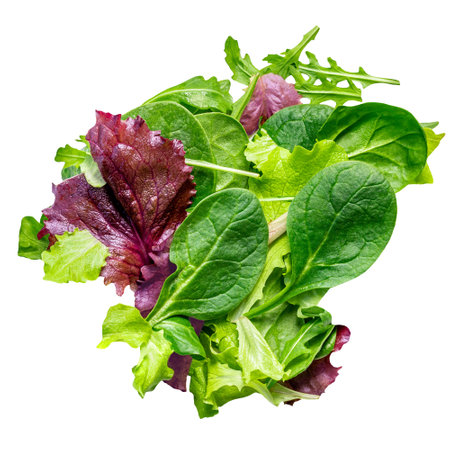 Fresh Spring mix leaves isolated. Green salad leaves on white. Pile of arugula, lettuce, spinach and beets leaves close up. Top viewの写真素材
