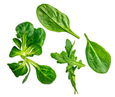 Falling Spring mix leaves isolated on white. Explosion of fresh green salad leaves. Flying arugula, lettuce, spinach close up.Creative layoutの写真素材