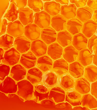Close up of honeycomb of bees texture.  Hexagonal wax honeycombs filled with golden nectar. Honeycomb Pattern, background with copyspaceの写真素材
