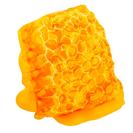 Golden Honeycomb with honey syrup isolated on white background. Honey creative layout. Package design elementsの写真素材
