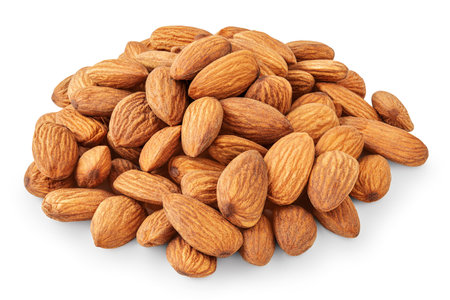 Almond nut seeds isolated on white background. Whole brown peeled almond nuts pile.の写真素材