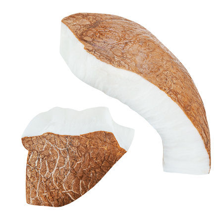 Coconut pieces isolated on white. Tropical coconut fruit slices. Top view. Flat lay.の写真素材