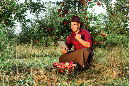 Young happy man in the garden collect ripe apples. The owner of apple orchard is pleased of harvest, looks at tablet and shows okay.の写真素材
