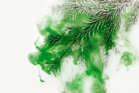 Branches needles with green acrylic paints inside the water on a white background. Watercolor style and abstract image of christmas tree branches.の写真素材